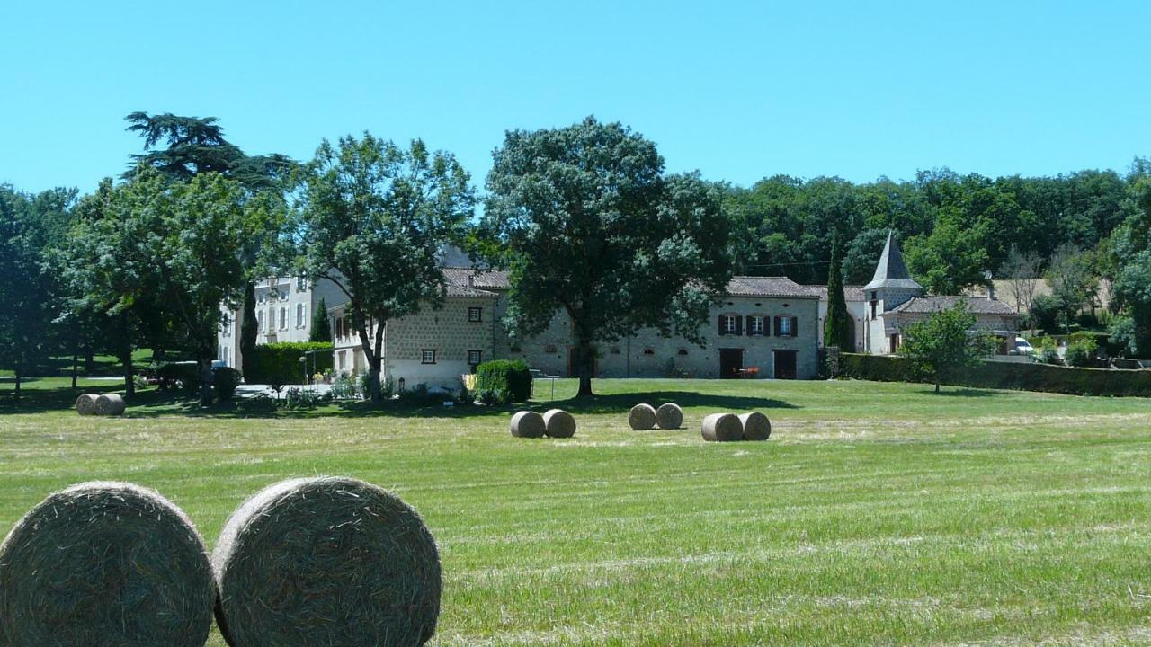 Chateau De La Bousquetarie Lempaut Екстериор снимка